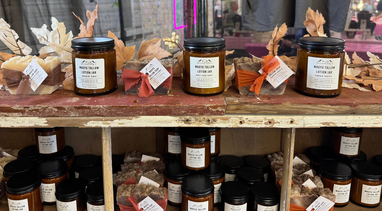 The 2025 Fall Collection