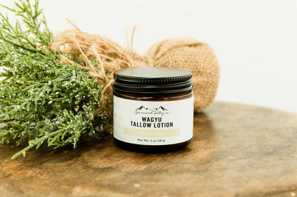 Champagne Tallow Lotion