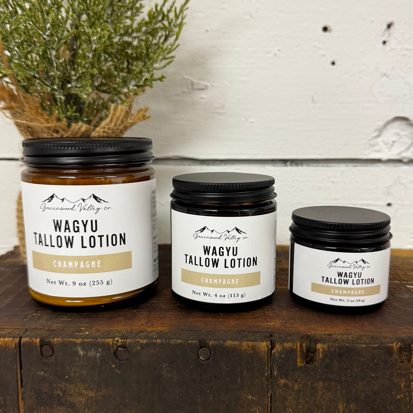 Champagne Tallow Lotion